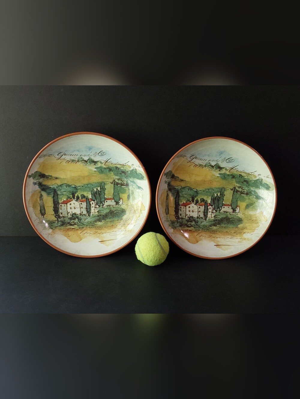 NEW Williams-Sonoma PAYSAGE SOUP/PASTA Bowls (2) 10" Dia STYLE C